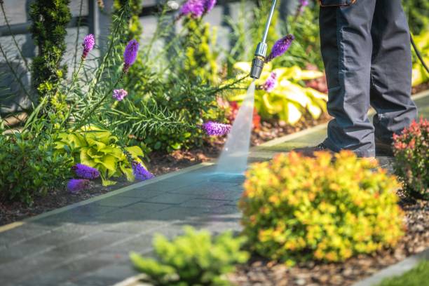 Best Gutter Cleaning and Brightening in Prieville, NC
